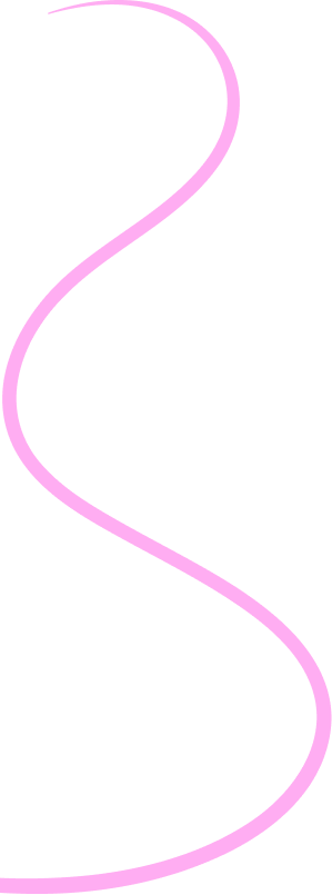 Visible One