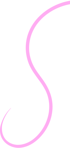 Visible One